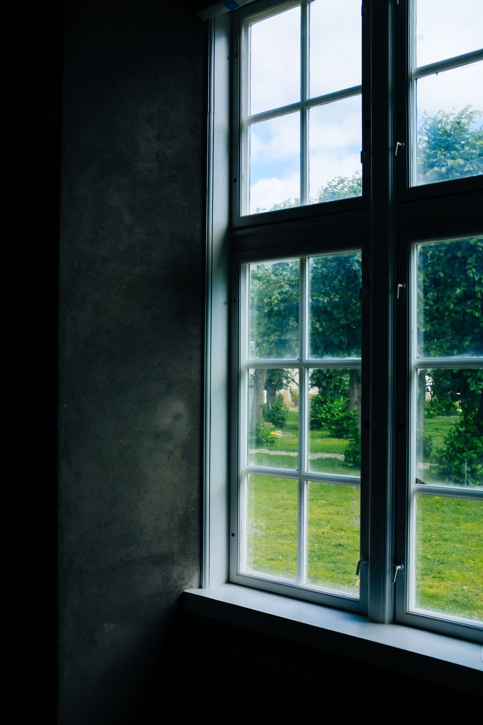 Clean glass window with a view of a lush green garden